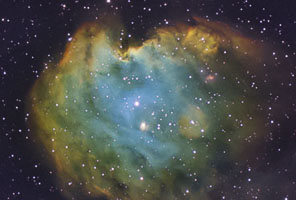 Monkey Head Nebula