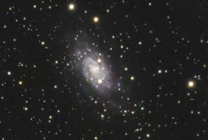 NGC 2403