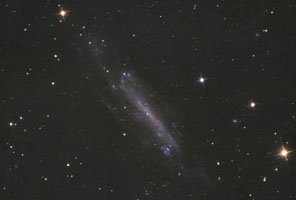 NGC 4236